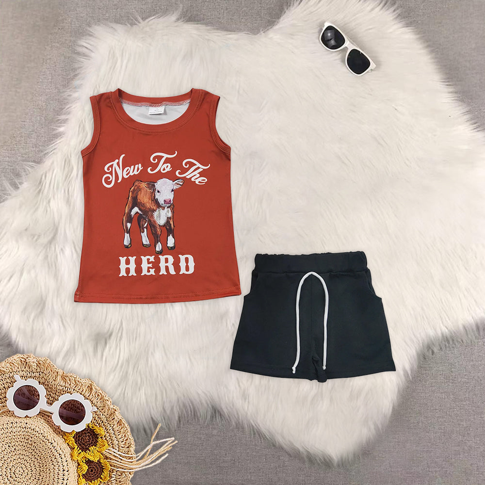 8.15 RTS Sibling Baby Boys Summer Boys Outfits New to the herd shirt shorts kids boy outfits