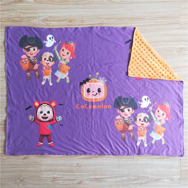 6 B10-19  Unicorn blanket