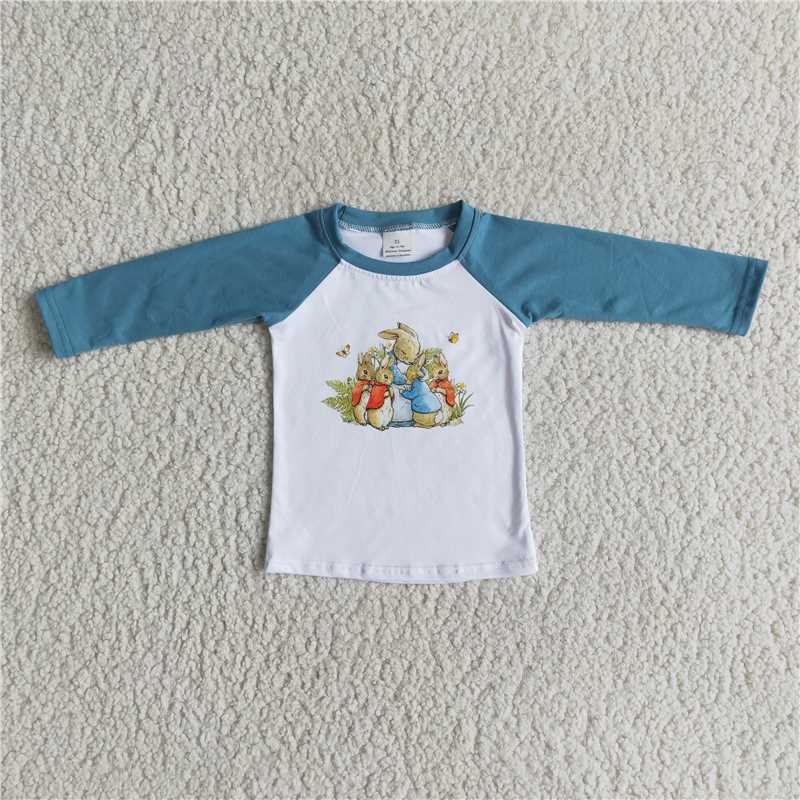 6 B13-33 Boys Easter bunny shirts raglan top