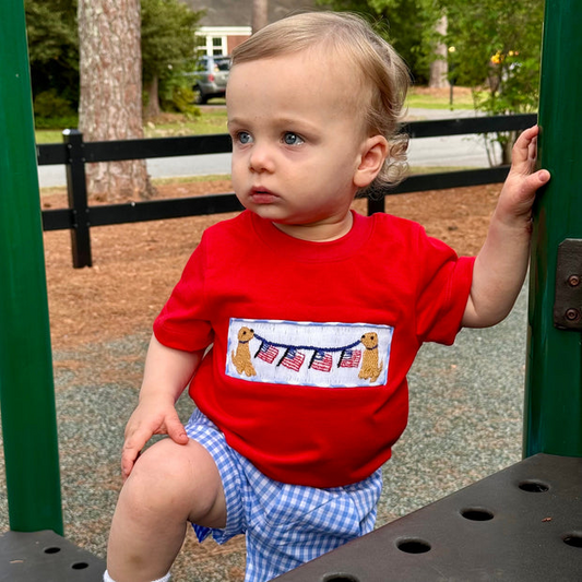 BSSO1282Baby Boys Red 4th Of July Dog Flags Top Shorts Clothes Sets
