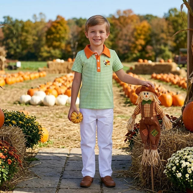 RTS NO MOQ （In stock）milk silk BT1889 Embroidery Turkey Baby Boys Green Checked Thanksgivings Polo Button Shirts Top