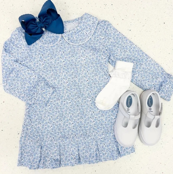 10.27 GLD1424 Pre order No Moq Baby Girls Blue Floral Ruffle Collar Knee Length Dresses